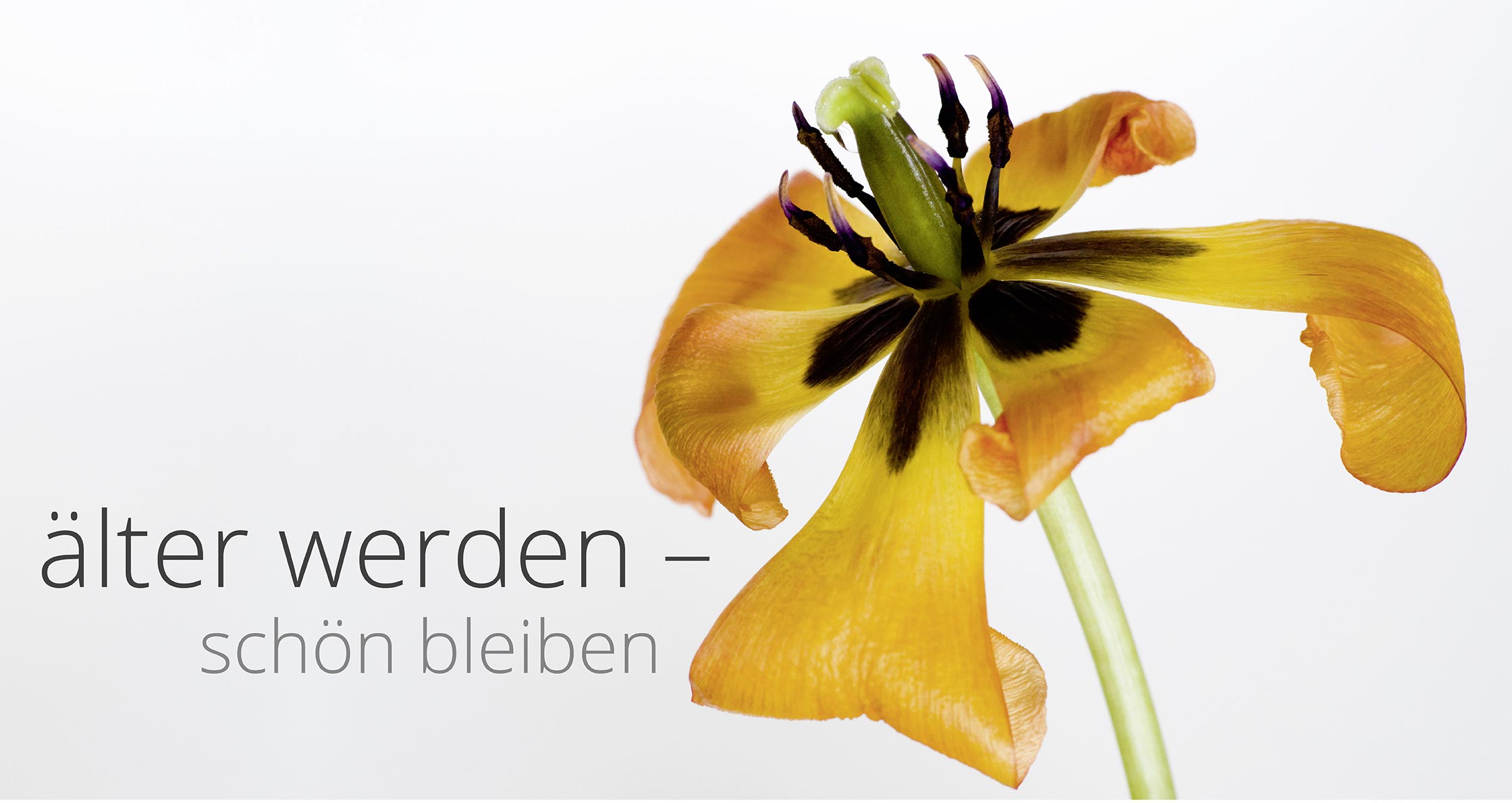 Bildmotiv Dermatologie